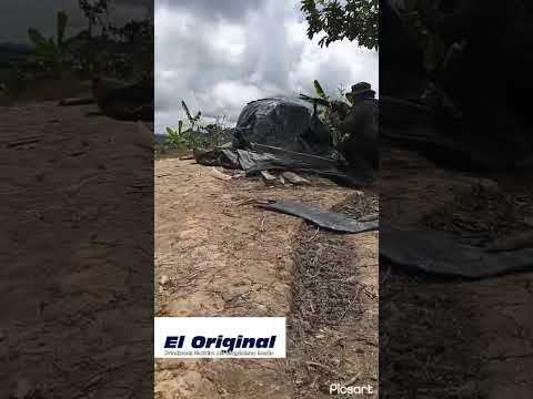 Confrontation between paramilitaries and the ELN in southern Bolivar