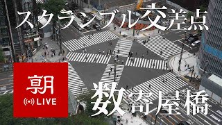 Sukiyabashi Crossing