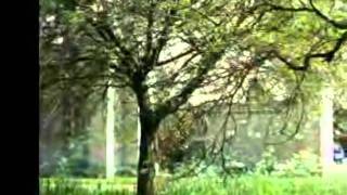 Anglesey Abbey, Cambridgeshire UK