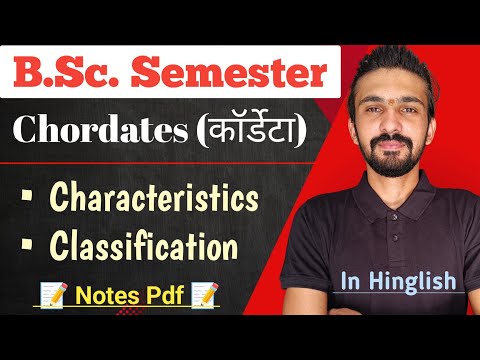 Basic Classification Of Chordata || Chordates Classification || Bsc Semester || By Dadhich Sir