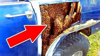 During repair work of a vehicle a SHOCKING DISCOVERY