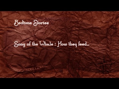 , title : '[Bedtime stories] Song of the Whale : How they feed?'