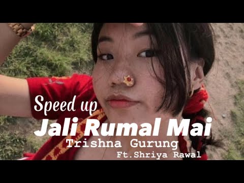 Phoola ko thunga koseli deula hai maya bhetesi|speed up|trishna gurung|tiktok version|jali rumal mai