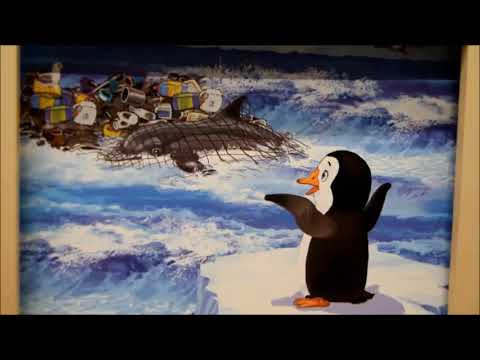 Przygody Pingwina Pingo część 1