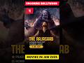 Upcoming Bollywood Movies January 2026 New Hindi Film Releases Bollywood Ytshorts Trending