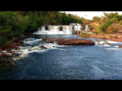 WE ARE ONE GUYANA- Various Artistes (Official Video)