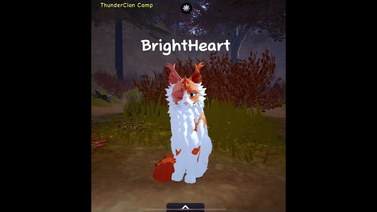Making Warrior Cats In WCUE #wcue #warriorcats #brightheart #roblox #morphs