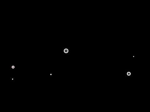 Reaksi kucing saya dengan alarm