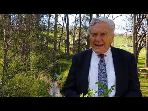 Nature Lesson - Wild Watercress