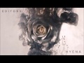 Editors - Hyena 