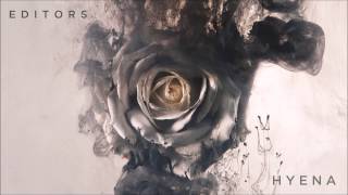 Editors - Hyena