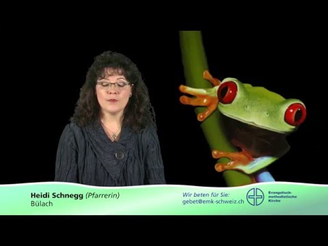 Grüss Gott - Heidi Schnegg "Frosch"