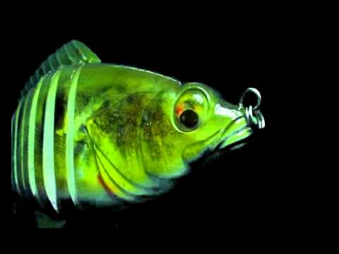 JENZI 2013 - Jenzi Jeronimo (fishing & Angelsport)