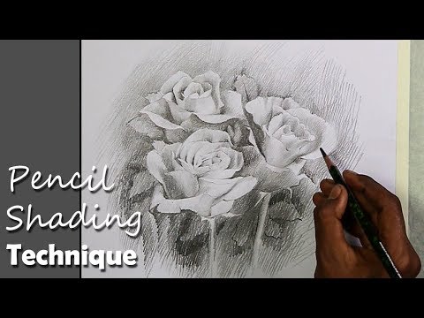 Mountains and Pine Tress Watercolor Pencil Landscape Drawing | steps to follow