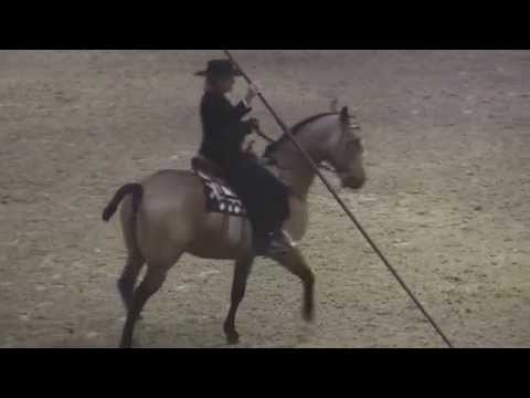 Cowboy Dressage Freestyle with Lesley Deutsch