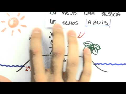 Me Salva! [DESAFIO #8 - RESPOSTA] - Quem sai da ilha?