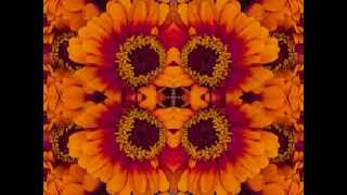 You Got My Letter (by Boz Scaggs live at the Fillmore in 1997)