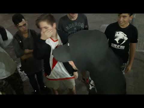 DAIKIRI vs HIRA vs COKI vs TRUKFIT - 4tos 1vs1 Survival Freestyle 13/01