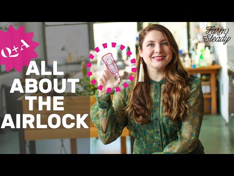 Q+A: All About the Airlock