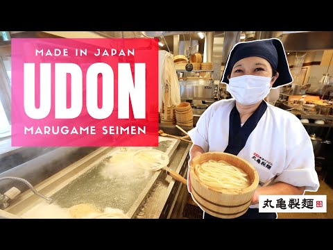 日本的快餐烏龍麵是如何製作的 (How Fast Food Udon Noodles are Made in Japan)