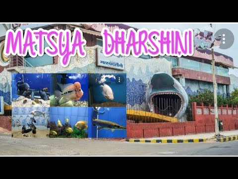 vizag beach road MATSYA DARSHINI//part-3//undadi vlogs////