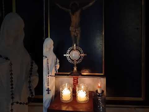 Adoracion Al Santisimo Sagramento del Altar con el Padre Fabian Esteban Oliva. 13/08/26