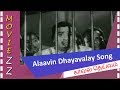 Alaavin Dhayavalay Song Kaaval Deivam