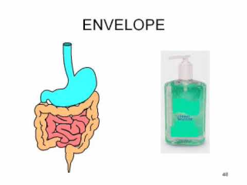 Aprenda Plugado - VIROLOGY - Lesson 02 - Virus: Structure And Classification (1)