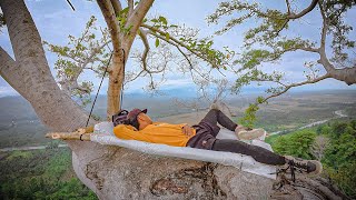 Download lagu 1 day 1 night staying on a tall banyan tree hunting birds & fishing arrows!!!! #KOOKIKO mp3