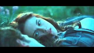 Flightless Bird American Mouth Iron Wine