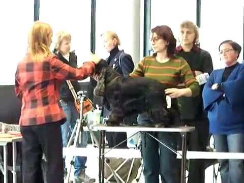 DREMMEN Eluda - Katowice Show 2011