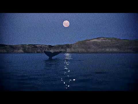 Stranded Lullaby Demo But It's In C Instead Of D