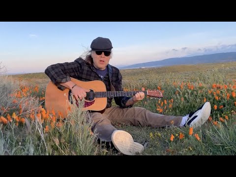 Tom Freund - Truly Mellow In The Poppies