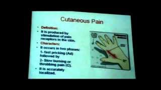 Dr Maha Sabry CNS 13