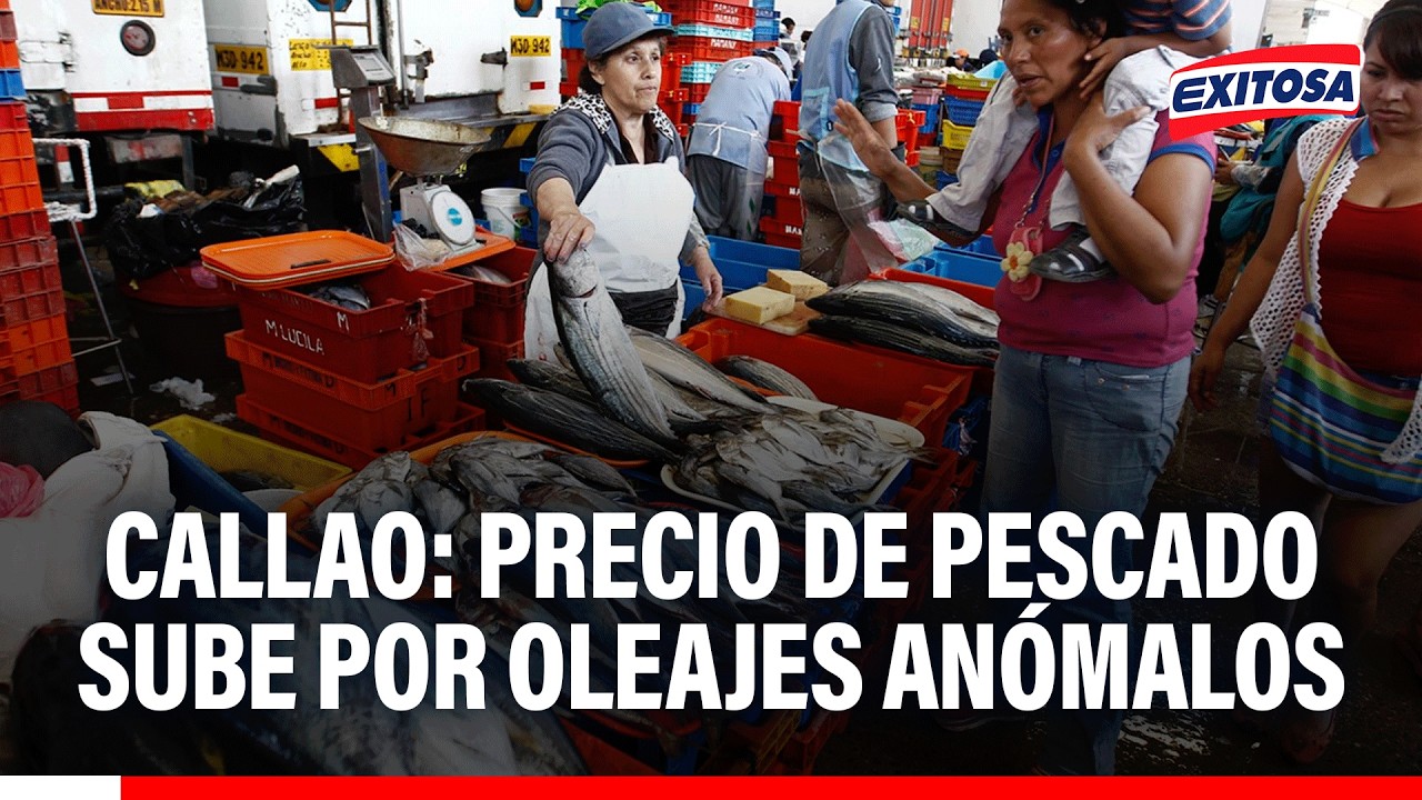 🔴🔵 Callao: Precio de pescado sube por oleajes anómalos y ventas bajan en el terminal pesquero