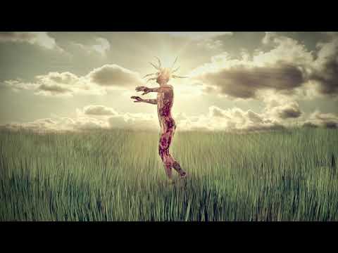 Pan Przecinek & Zespół Depresyjny - Ciało