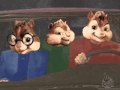 What Is Chipmunks
