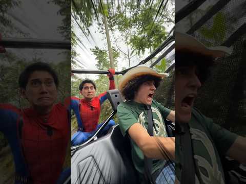 Cuántos Pájaros vieron? 😱