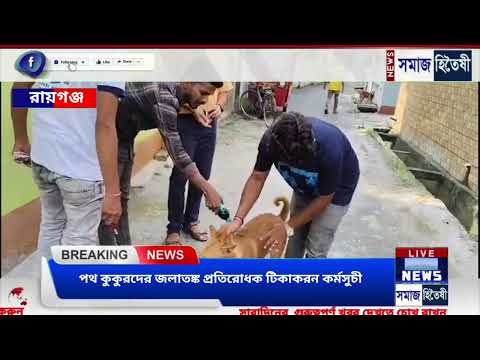 বিশ্ব জলাতঙ্ক দিবস উদযাপন উপলক্ষে পথ কুকুরদের জলাতঙ্ক প্রতিরোধক টিকাকরন কর্মসুচী পালন রায়গঞ্জে।