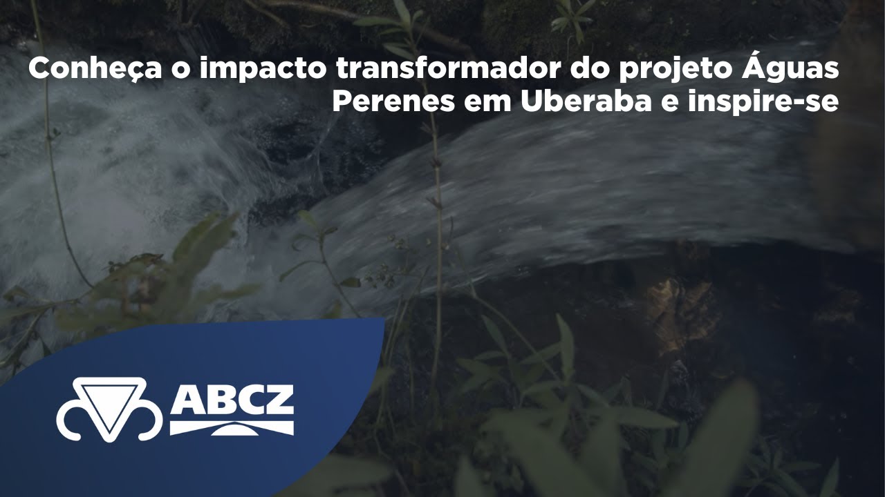 Conheça o impacto transformador do projeto Águas Perenes em Uberaba e inspire-se