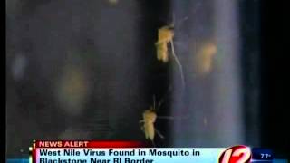 preview picture of video 'West Nile Virus Found Near RI Border'