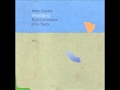 Peter Erskine - Time Being - Liten Visa Till Karin