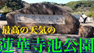 最高の天気の蓮華寺池公園