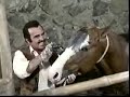 Si Te Vas No Hay Lio - Vicente Fernandez