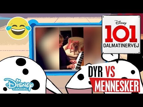 Dalmatinervej 101 | Dyr vs Mennesker: Musik 🎶- Disney Channel Danmark