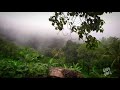 Kodamanjin Thazhvarayil Whatsapp Status