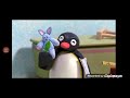The Pingu Show 2025 Compliation 2025 HD 2025 Funny Cartoon Full Episodes Compliation Season 1 Pt 31