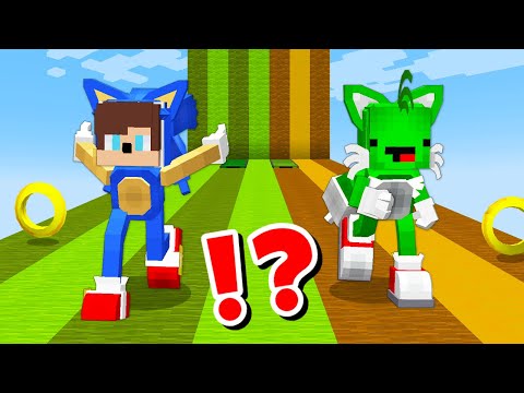 JJ and Mikey in SONIC THE HEDGEHOG CHALLENGE in Minecraft / Maizen Minecraft