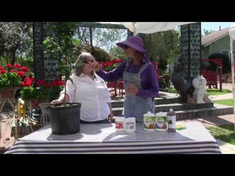 download lagu mp3 mp4 Gulf Citrus Management, download lagu Gulf Citrus Management gratis, unduh video klip Gulf Citrus Management