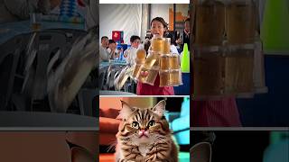 Practice 😯 #cat #funny #meme #mrbombastic #viral #shorts